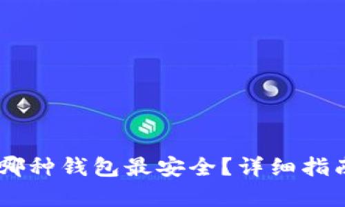 USDT存放在哪种钱包最安全？详细指南与选择建议